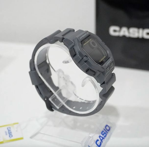 Мужские часы CASIO WS-1400H WS-1400H фото
